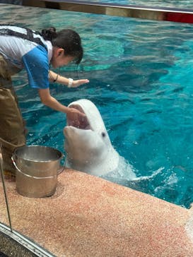 名古屋港水族館に投稿された画像（2025/7/21）