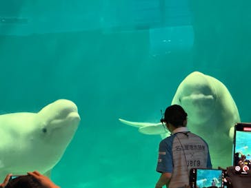 名古屋港水族館に投稿された画像（2025/7/21）