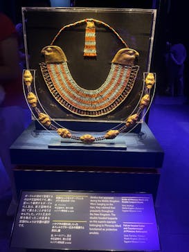 ACN ラムセス大王展 ファラオたちの黄金に投稿された画像（2025/7/21）