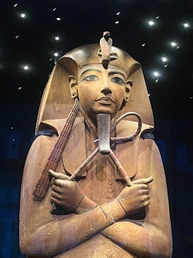 ACN ラムセス大王展 ファラオたちの黄金に投稿された画像（2025/7/21）