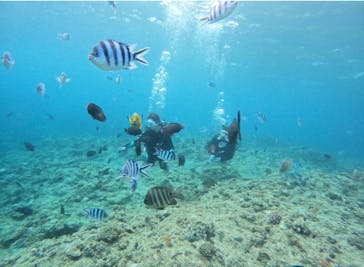 武藤潜水に投稿された画像（2025/7/22）