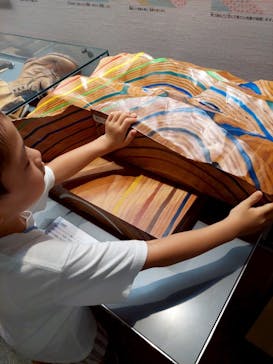 福井県立恐竜博物館に投稿された画像（2025/7/22）