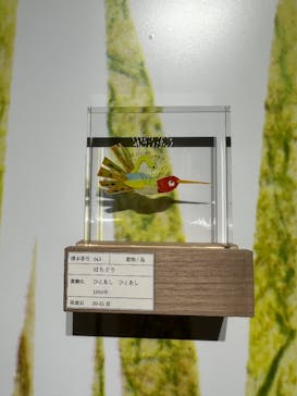 レオ・レオーニの絵本づくり展に投稿された画像（2025/7/22）