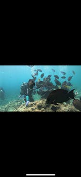 武藤潜水に投稿された画像（2025/7/22）