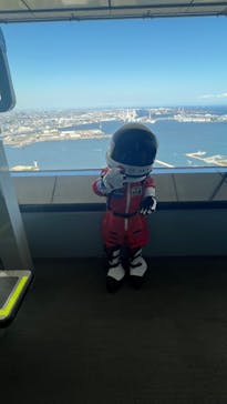 横浜ランドマークタワー 69階展望フロア スカイガーデンに投稿された画像（2025/7/22）