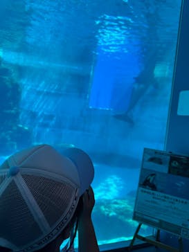 名古屋港水族館に投稿された画像（2025/7/22）