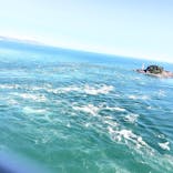 徳島県立 渦の道に投稿された画像（2025/7/22）