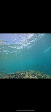 沖縄マリンサービス碧に投稿された画像（2025/7/22）