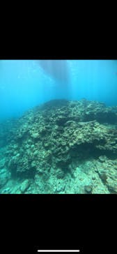 沖縄マリンサービス碧に投稿された画像（2025/7/22）