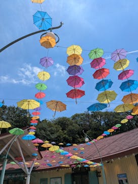 ムーミンバレーパークに投稿された画像（2025/7/22）