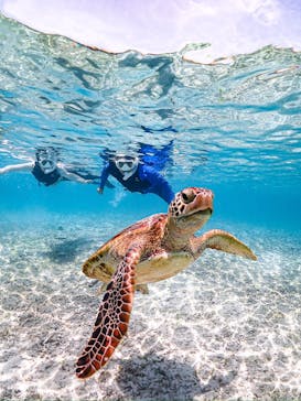 SUNSHINE MARIN 宮古島に投稿された画像（2025/7/22）