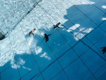 葛西臨海水族園に投稿された画像（2025/7/22）