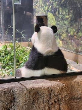 恩賜上野動物園に投稿された画像（2025/7/22）