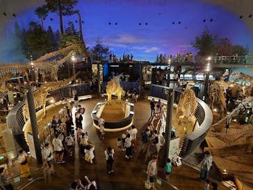 福井県立恐竜博物館に投稿された画像（2025/7/22）