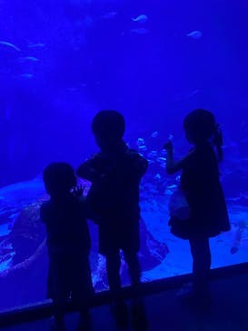 マリンワールド海の中道に投稿された画像（2025/7/22）