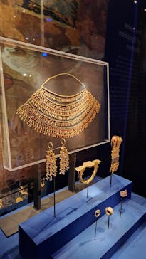 ACN ラムセス大王展 ファラオたちの黄金に投稿された画像（2025/7/22）