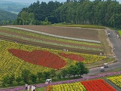 ジャパンホリデートラベル札幌営業所に投稿された画像（2025/7/22）