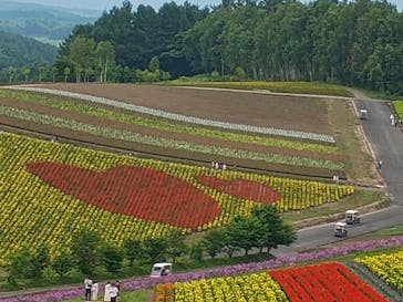 ジャパンホリデートラベル札幌営業所に投稿された画像（2025/7/22）