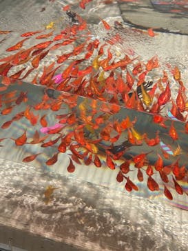 あべのハルカス美術館に投稿された画像（2025/7/22）