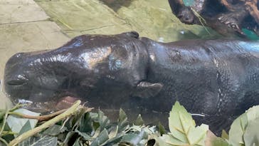 NIFREL（ニフレル）に投稿された画像（2025/7/22）