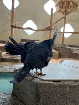 NIFREL（ニフレル）に投稿された画像（2025/7/22）