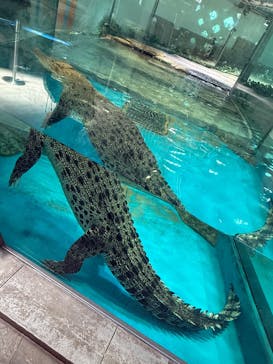 NIFREL（ニフレル）に投稿された画像（2025/7/22）