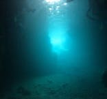 武藤潜水に投稿された画像（2025/7/22）