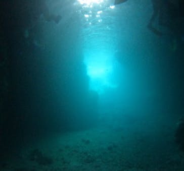 武藤潜水に投稿された画像（2025/7/22）