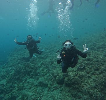 武藤潜水に投稿された画像（2025/7/22）
