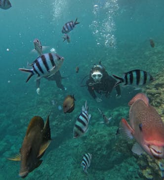 武藤潜水に投稿された画像（2025/7/22）