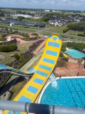 蓮沼ウォーターガーデンに投稿された画像（2025/7/22）