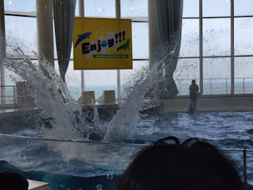 アクアワールド茨城県大洗水族館に投稿された画像（2025/7/22）