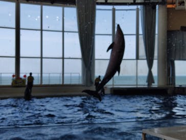 アクアワールド茨城県大洗水族館に投稿された画像（2025/7/22）
