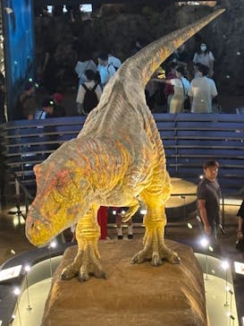 福井県立恐竜博物館に投稿された画像（2025/7/22）