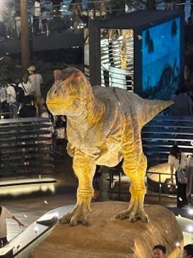 福井県立恐竜博物館に投稿された画像（2025/7/22）