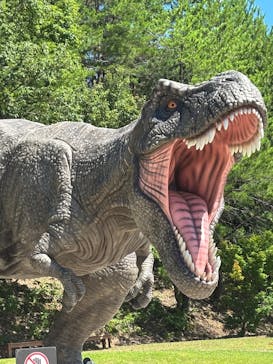 福井県立恐竜博物館に投稿された画像（2025/7/22）