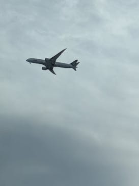 六本木ヒルズ展望台 東京シティビューに投稿された画像（2025/7/22）