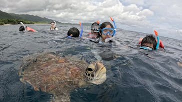SHISHI石垣島（シシイシガキジマ）に投稿された画像（2025/7/22）