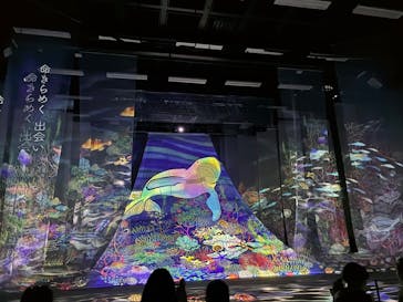 旅する光の切り絵展 ～くうそうって、まほうだよ～に投稿された画像（2025/7/22）