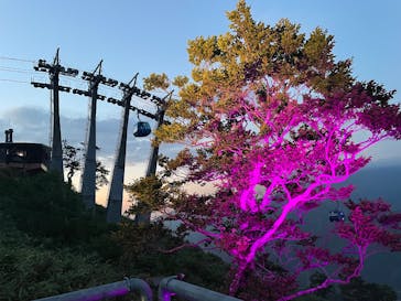 苗場スキー場に投稿された画像（2025/7/22）