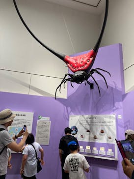 特別展 『昆虫 MANIAC』に投稿された画像（2025/7/22）