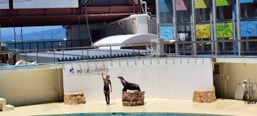 伊豆・三津シーパラダイスに投稿された画像（2025/7/22）