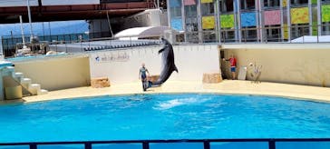 伊豆・三津シーパラダイスに投稿された画像（2025/7/22）