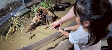 伊豆・三津シーパラダイスに投稿された画像（2025/7/22）