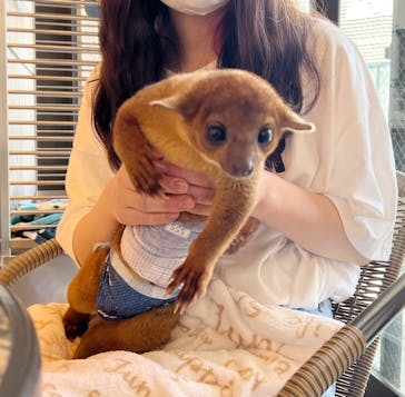 アニマルカフェフレカ　福島店に投稿された画像（2025/7/22）