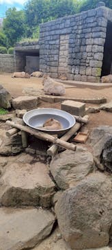 伊豆シャボテン動物公園に投稿された画像（2025/7/22）