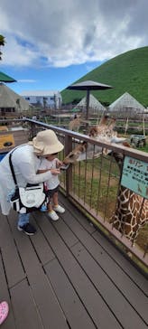 伊豆シャボテン動物公園に投稿された画像（2025/7/22）