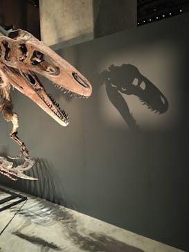 福井県立恐竜博物館に投稿された画像（2025/7/22）