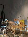 福井県立恐竜博物館に投稿された画像（2025/7/22）