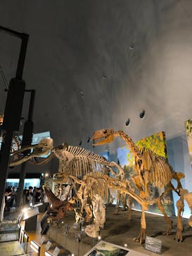 福井県立恐竜博物館に投稿された画像（2025/7/22）